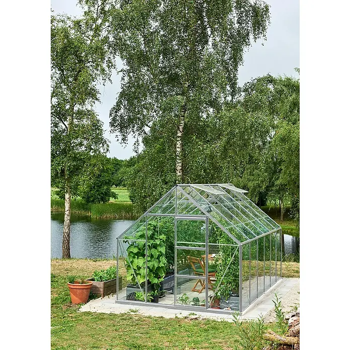 Halls Gewächshaus Universal 128Außenmaß inkl. Dachüberstand (B x T): 257 x 384 cm, Einscheibensicherheitsglas, 3 mm, Aluminium - Das Bild zeigt ein Glashaus mit verschiedenen Pflanzen im Inneren, umgeben von einer grünen Landschaft und Bäumen, ideal für Gartenliebhaber.