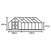 Juliana Gewächshaus Premium (4,39 x 2,96 x 2,67 m, Sicherheitsglas, Glasstärke: 3 mm, Anthrazit/Schwarz)