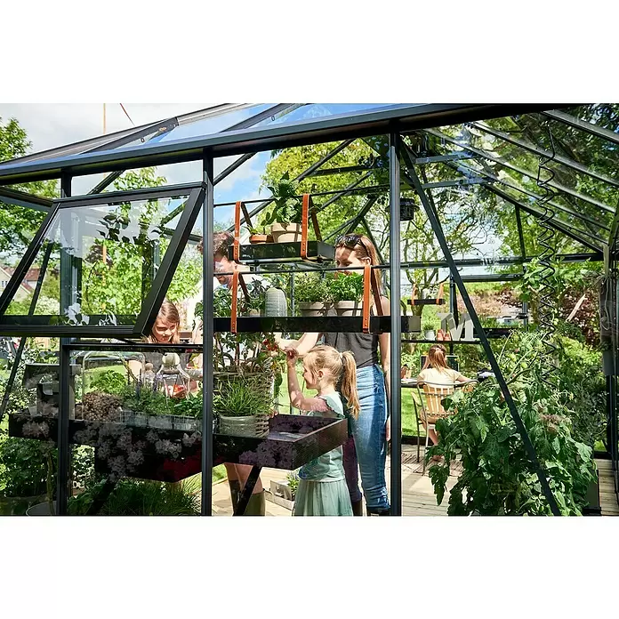 Juliana Gewächshaus Grand Oase - Außenmaß inkl. Dachüberstand (B x T): 439 x 296 cm, Material Seitenwand: Glas, 3 mm, Anthrazit - Familie gärtnert und entspannt in einem geräumigen, schwarz gerahmten Glasgewächshaus mit Pflanzenregalen und Tomatenpflanze.