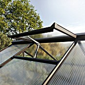 KGT Gewächshaus Novum III (Außenmaß inkl. Dachüberstand (B x T): 273 x 208 cm, Material Seitenwand: Glas, 4 mm, Tannengrün) | BAUHAUS