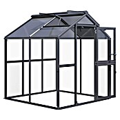 KGT Gewächshaus Galant II (Außenmaß inkl. Dachüberstand (B x T): 216 x 208 cm, Material Seitenwand: Glas, 4 mm, Anthrazit-Grau) | BAUHAUS