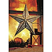 Estrella navideña LED (10 luces, Marrón, Diámetro: 40 cm)