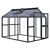 KGT Gewächshaus Galant III (Außenmaß inkl. Dachüberstand (B x T): 216 x 308 cm, Material Seitenwand: Glas, 4 mm, Anthrazit-Grau) | BAUHAUS