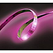MegaLight LED-Stripes RGB Tuya (Länge: 5 m, RGB, 250 lm) | BAUHAUS