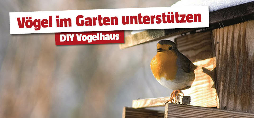 DIY Vogelhaus