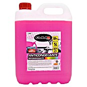 Rolmovil Clean Concentrado anticongelante para motores (Rosa, 5 l) | BAUHAUS