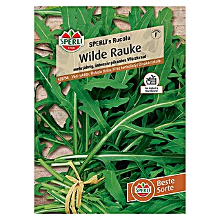 Sperli Gemüsesamen Wilde Rauke (Diplotaxis tenuifolia, Erntezeit: Ganzjährig)