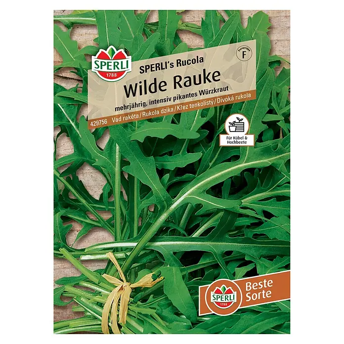 Sperli Gemüsesamen Wilde Rauke - Diplotaxis tenuifolia, Erntezeit: Ganzjährig - SPERLI's Wilde Rauke: Mehrjährige, intensiv pikanter Würzkraut für Kübel und Hochbeete. Beste Sorte für den Garten!