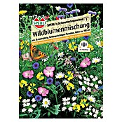 Sperli Wildblumensamen Mischung Schmetterlingswiese (4 m², Blütezeit: Juni) | BAUHAUS