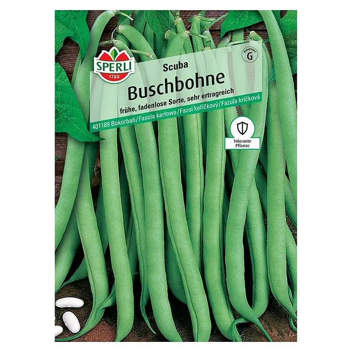 Gemüsesamen Buschbohnen Scuba - Phaseolus vulgaris 'Scuba' - Bild der Samenpackung für "Scuba Buschbohne", eine frühe, ertragreiche Sorte, ideal für jeden Gartenliebhaber.