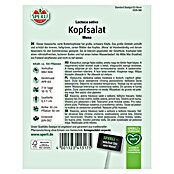 Sperli Salatsamen Kopfsalat Mona (Lactuca sativa 'Mona') | BAUHAUS