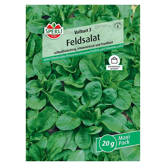 Sperli Feldsalat Volhart 3 (Valerianella 'Volhart 3') | BAUHAUS