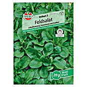Sperli Feldsalat Volhart 3 (Valerianella 'Volhart 3') | BAUHAUS