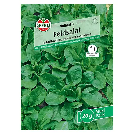 Sperli  Salatsamen Volhart 3