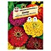 Sperli Blumensamen Zinnie Kalifornische Riesenmischung 