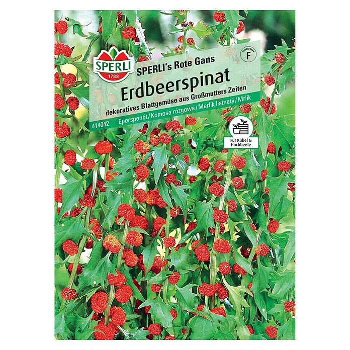 Sperli Gemüsesamen Erdbeerspinat Rote Gans (Chenopodium foliosum 'Rote Gans') | BAUHAUS