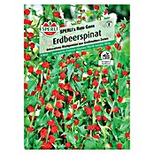 Sperli Gemüsesamen Erdbeerspinat Rote Gans (Chenopodium foliosum 'Rote Gans') | BAUHAUS