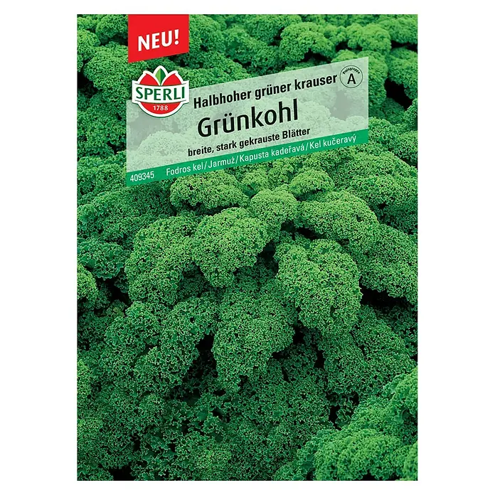 Sperli Gemüsesamen Grünkohl 'Halbhoher grüner Krauser' - Brassica oleracea, Erntezeit: Oktober - Bild einer Packung Grünkohl-Samen der Marke Sperli.