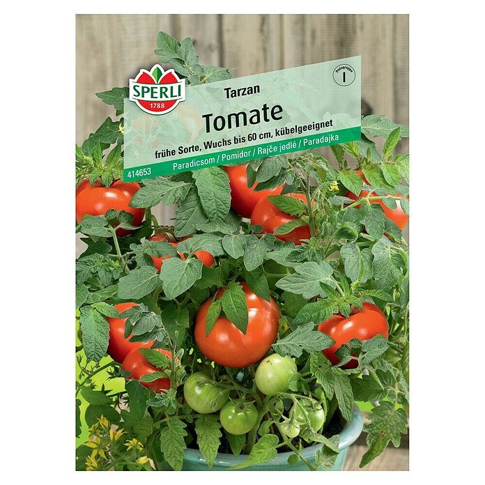 Sperli Cocktailtomate Tarzan (Solanum lycopersicum 'Tarzan', Erntezeit: Juli) | BAUHAUS