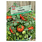 Sperli Cocktailtomate Tarzan (Solanum lycopersicum 'Tarzan', Erntezeit: Juli) | BAUHAUS