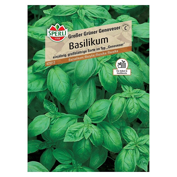 Sperli Basilikum Basilikum Grosses Grünes (Ocimum basilicum) | BAUHAUS