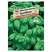 Sperli Basilikum Basilikum Grosses Grünes (Ocimum basilicum) | BAUHAUS