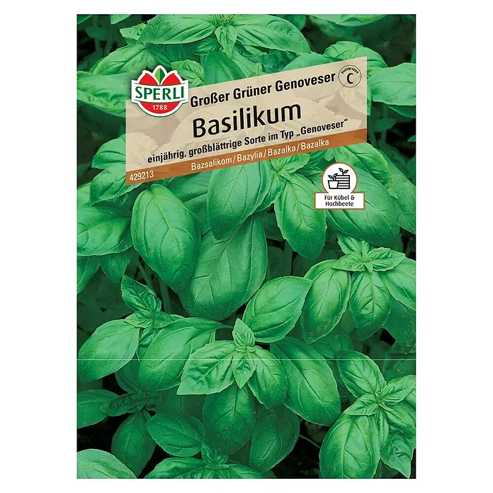 Sperli Basilikum Basilikum Grosses Grünes - Ocimum basilicum - Bild einer Samenpackung „Großer Grüner Genoveser Basilikum“ von Sperli, eine einjährige, großblättrige Sorte. Geeignet für Kübel und Hochbeete.