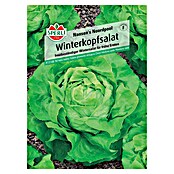Sperli Gemüsesamen Winterkopfsalat (Lactuca sativa 'Nansen's Noordpool', Erntezeit: März) | BAUHAUS