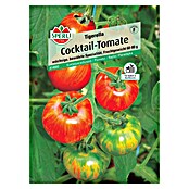 Sperli Cocktailtomate Tigerella (Solanum lycopersicum 'Tigerella', Erntezeit: Juli) | BAUHAUS