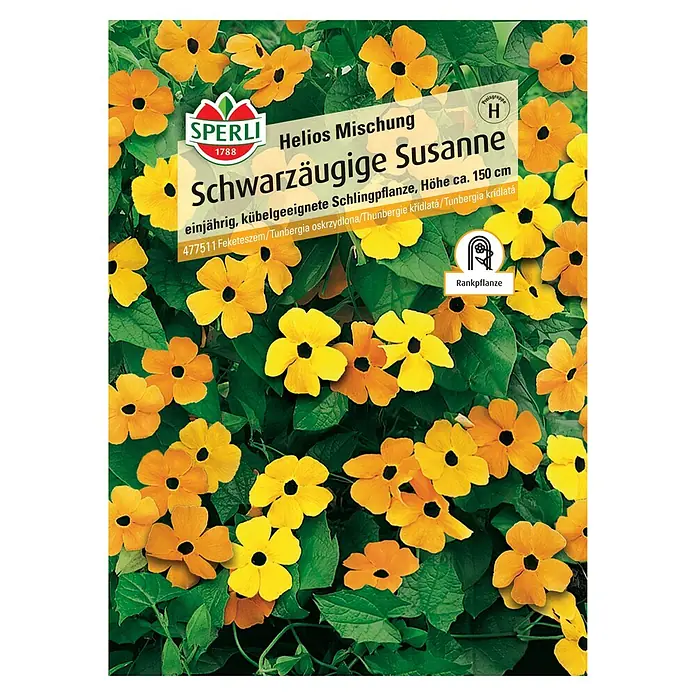 Sperli Blumensamen Schwarzäugige Susanne Helios Mischung - Thunbergia alata, Mehrfarbig - Samenpackung für Schwarzäugige Susanne, eine einjährige Kletterpflanze mit gelben und orangefarbenen Blüten und dunklen Zentren.