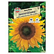 Sperli Blumensamen Sonnenblume Henry Wilde (Helianthus annuus 'Henry Wilde', Gelb) | BAUHAUS