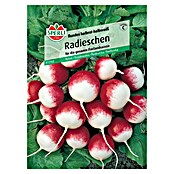 Sperli Gemüsesamen Radieschen Rundes halbrot-halbweiß (Raphanus sativus, Erntezeit: Mai) | BAUHAUS