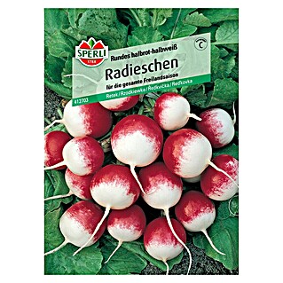 Sperli Gemüsesamen Radieschen Rundes halbrot-halbweiß (Raphanus sativus, Erntezeit: Mai)