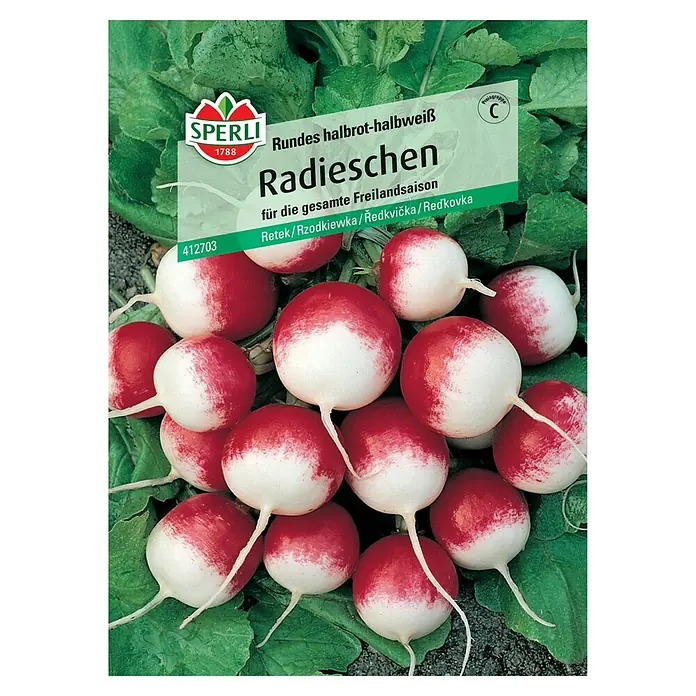 Sperli Gemüsesamen Radieschen Rundes halbrot-halbweiß - Raphanus sativus, Erntezeit: Mai - Abbildung der Samenkapsel für runde, halbrote und halbweiße Radieschen der Marke Sperli für die gesamte Freilandsaison.