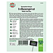 Sperli Gemüsesamen Erdbeerspinat Rote Gans (Chenopodium foliosum 'Rote Gans') | BAUHAUS
