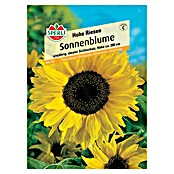 Sperli Blumensamen Sonnenblume Hohe Riesen (Helianthus annuus 'Hohe Riesen', Gelb) | BAUHAUS