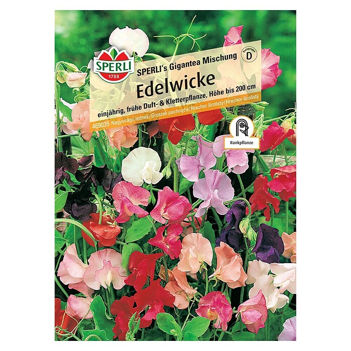 Sperli Blumensamenmischung Edelwicke (Lathyrus odoratus) | BAUHAUS