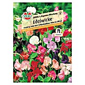 Sperli Blumensamenmischung Edelwicke (Lathyrus odoratus) | BAUHAUS