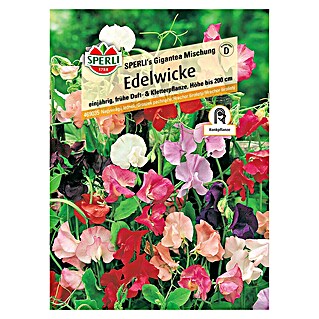 Sperli Blumensamenmischung Edelwicke (Lathyrus odoratus)