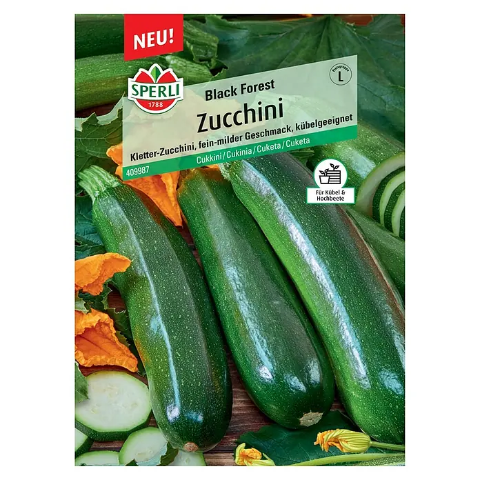 Sperli Gemüsesamen Zucchini Black Forest - Cucurbita pepo 'Black Forest', Erntezeit: Juli - Das Bild zeigt eine Samenpackung "Black Forest Zucchini" von Sperli, ideal für Kübel und Hochbeete.