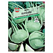 Sperli Gemüsesamen Kohlrabi Noriko (Brassica oleracea var. gongylodes, Erntezeit: Juni) | BAUHAUS