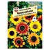 Sperli Blumensamen Sonnenblume Farbenpracht Mischung 