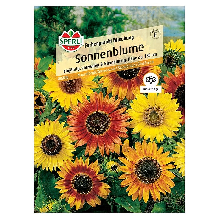 Sperli Blumensamen Sonnenblume Farbenpracht Mischung (Helianthus annuus, Mehrfarbig) | BAUHAUS