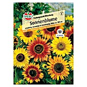 Sperli Blumensamen Sonnenblume Farbenpracht Mischung (Helianthus annuus, Mehrfarbig) | BAUHAUS