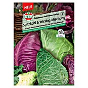 Sperli Gemüsesamen Spitzkohl & Wirsing Mischung (Brassica oleracea, Erntezeit: Juni) | BAUHAUS
