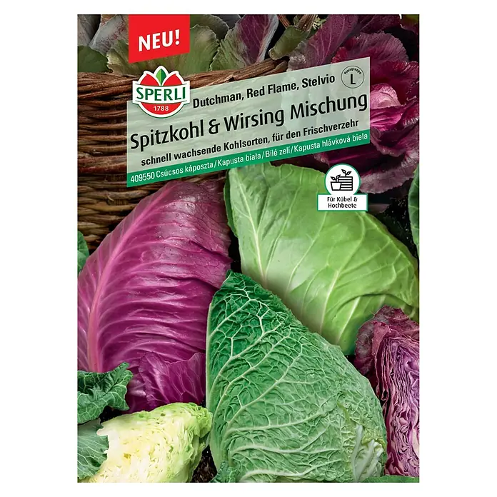 Sperli Gemüsesamen Spitzkohl & Wirsing Mischung - Brassica oleracea, Erntezeit: Juni - Spitzkohl & Wirsing Mischung: Eine bunte Mischung aus verschiedenen Kohlsorten für den Frischverzehr, ideal für Kübel und Hochbeete.