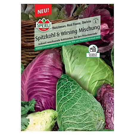 Sperli  Gemüsesamen Spitzkohl & Wirsing Mischung