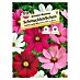 Sperli Blumensamen Schmuckkörbchen Sensation Mischung 