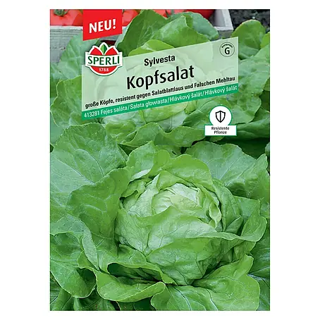 Sperli  Gemüsesamen Kopfsalat Sylvesta