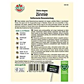 Sperli Blumensamen Zinnie Kalifornische Riesenmischung (Zinnia, Mehrfarbig) | BAUHAUS
